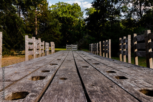 Giant long wooden medieval table bench in the forest © OV
