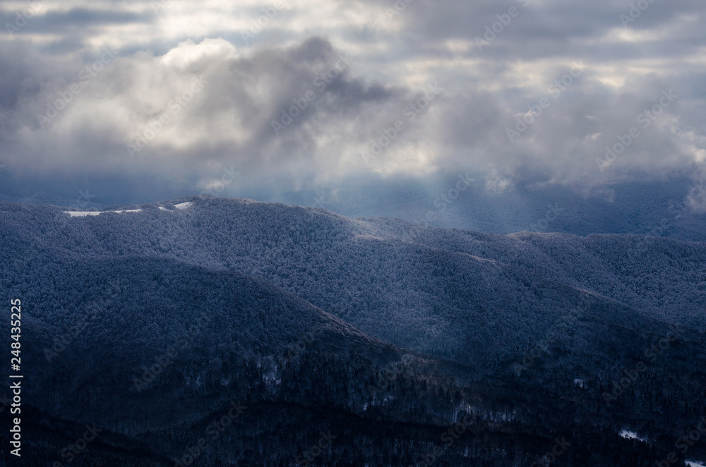 Fototapeta premium zimowe bieszczadzkie lasy 