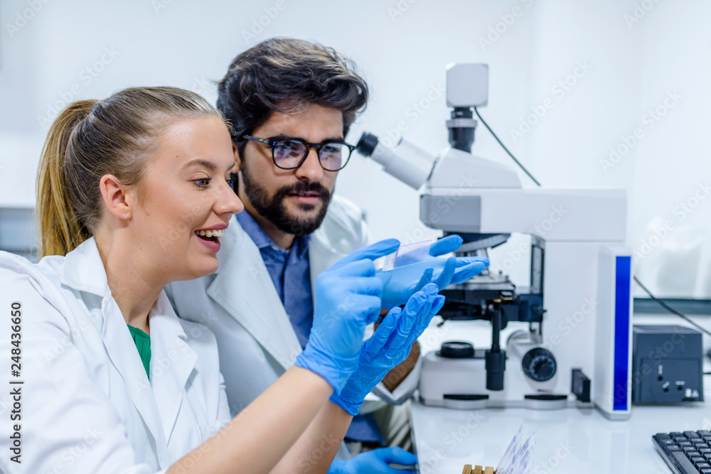 Two biotechnologists communicating while working on research in a laboratory Two biotechnologists communicating while working on research in a laboratory