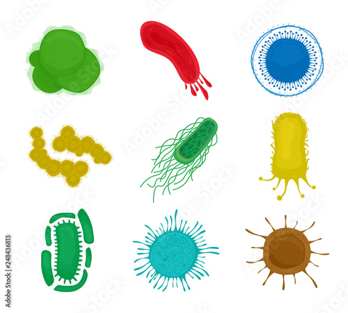 Microorganisms, pandemic viruses, fungi. Bacteria and virus cells isolated on white background. Vector illustration. Flat style.