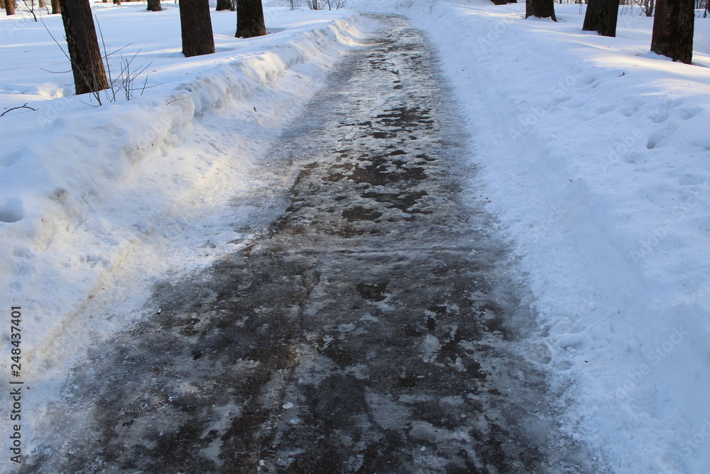 Photograph of the road in the winter forest. Photograph of the road in the winter forest.
