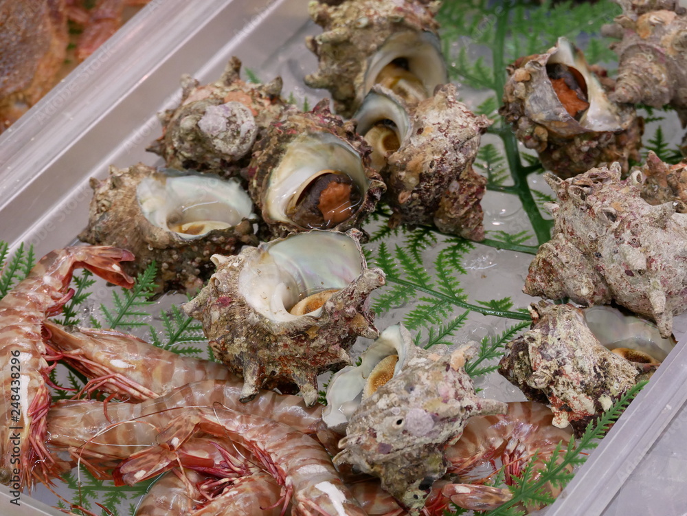 新鮮な海鮮　さざえ　エビ