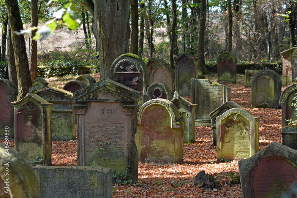 Fototapeta premium jüdischer friedhof bei mehlingen