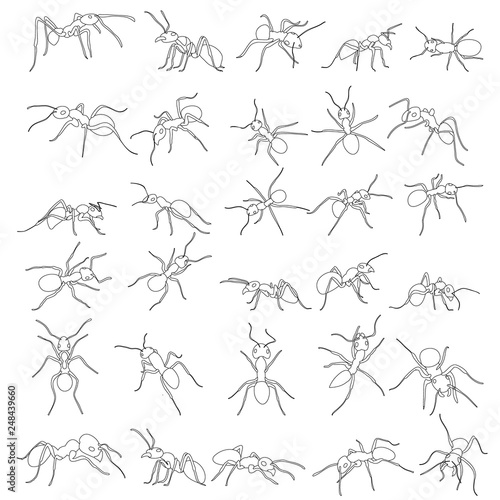 ant crawling sketch set collection
