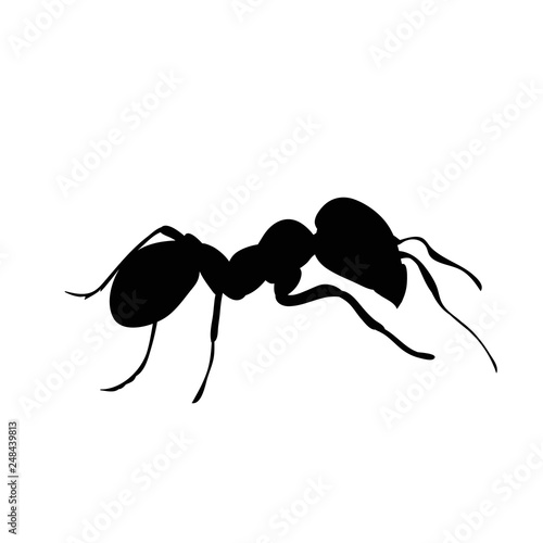 silhouette of an ant crawling, isolated