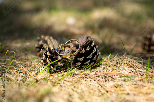 wedding decorations and decorations, the bride's bouquet, lies and waits until the bride wears her wedding dress © Павел Чигирь