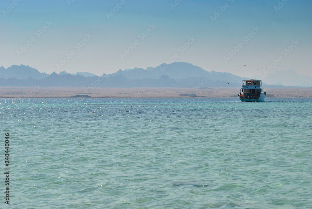 Red sea. Background of water.