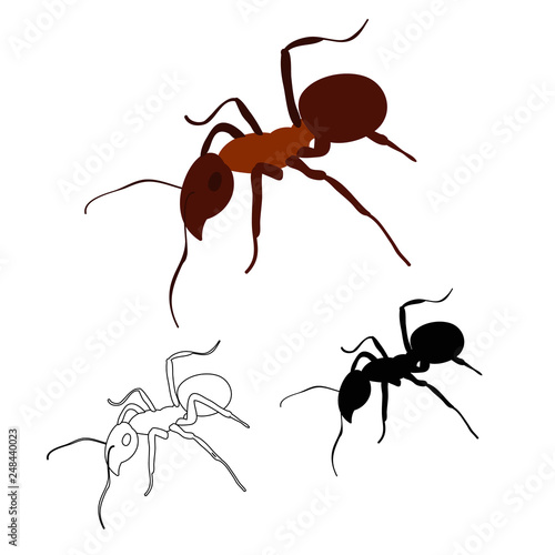 brown ant crawling, silhouette and sketch © zolotons