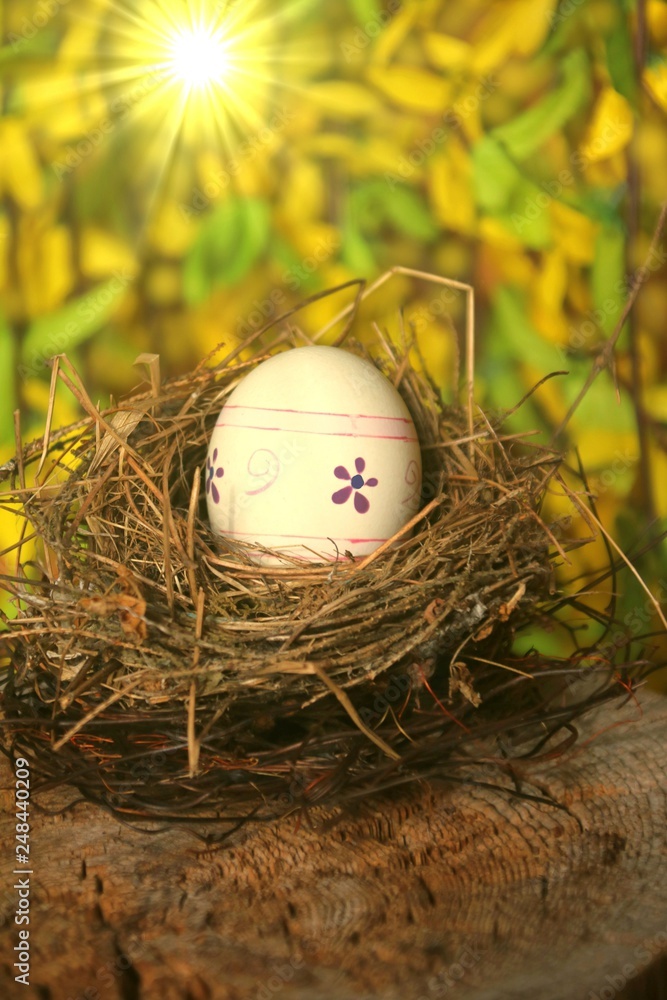 frohe ostern textfreiraum frohe ostern textfreiraum