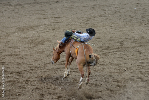 Rodeo Rider in Cody, Wyoming