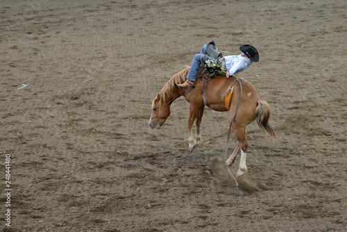 Rodeo Riding in Wyoming