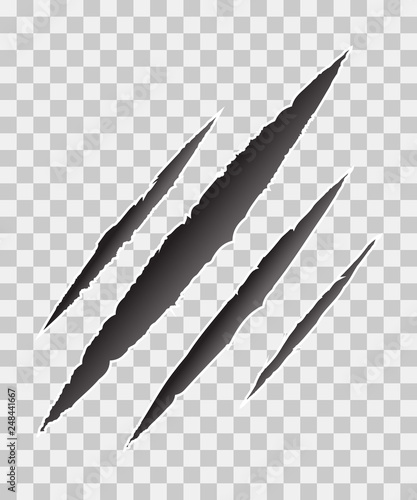 Claws scratches - vector isolated on transparent background. Monster tear claw scratch mark. Cat tiger scratches paw shape.