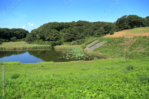 大規模な住宅地にある調整池