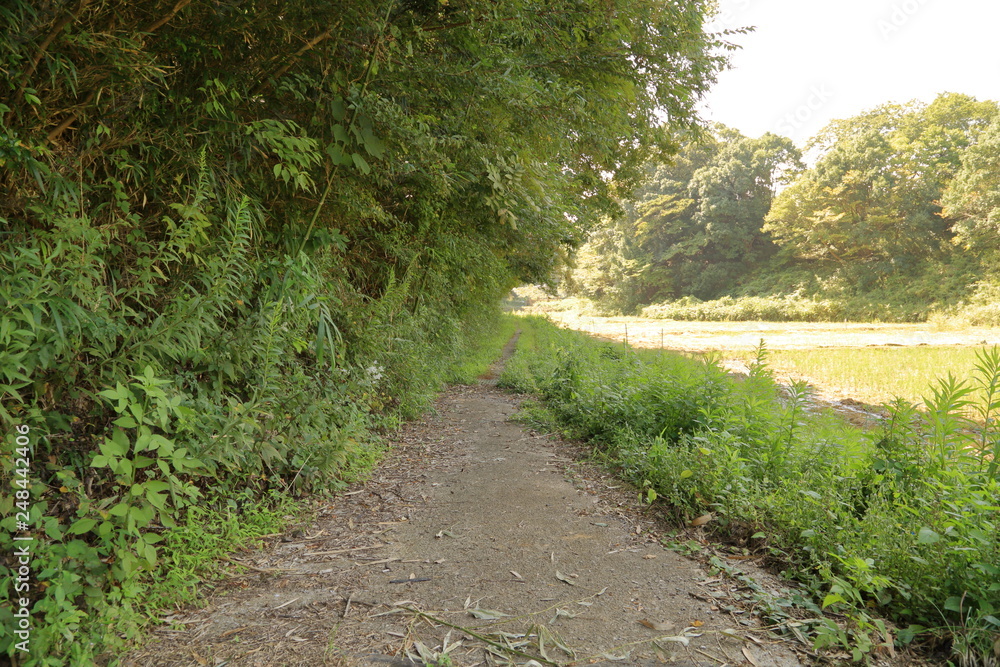 日本の田舎の風景 日本の田舎の風景