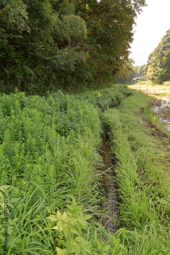 日本の田舎の風景