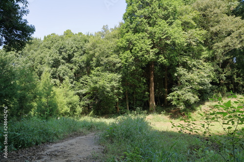 日本の田舎の風景