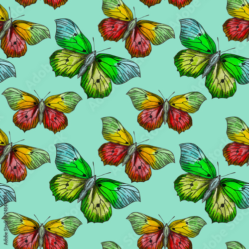Wallpaper Mural Butterflies moths insects animals fly. Seamless pattern with bytterflies Torontodigital.ca