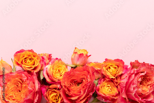 Happy Mother s Day  Women s Day  Valentine s Day or Birthday Living Coral and Pastel Pink Background. Flat lay mock up greeting card with beautiful coral hue roses.