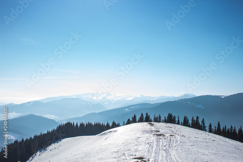 Snow-capped mountains and hills. Mountains Carpathians in Ukraine. Winter mountain landscape. Mountain Bukovel. Panorama from the top of the mountain. Freeride ski slope. Skiing and snowboarding.