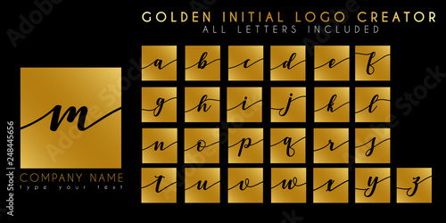 Luxury elegant initial letter logo template