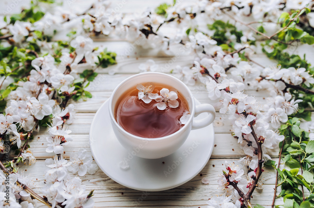 White cup of green tea and spring apricot blossom on a wooden background. Rustic. White cup of green tea and spring apricot blossom on a wooden background. Rustic.