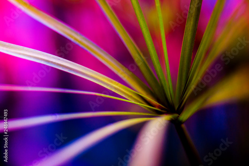 Abstract colored background close up. Macro.