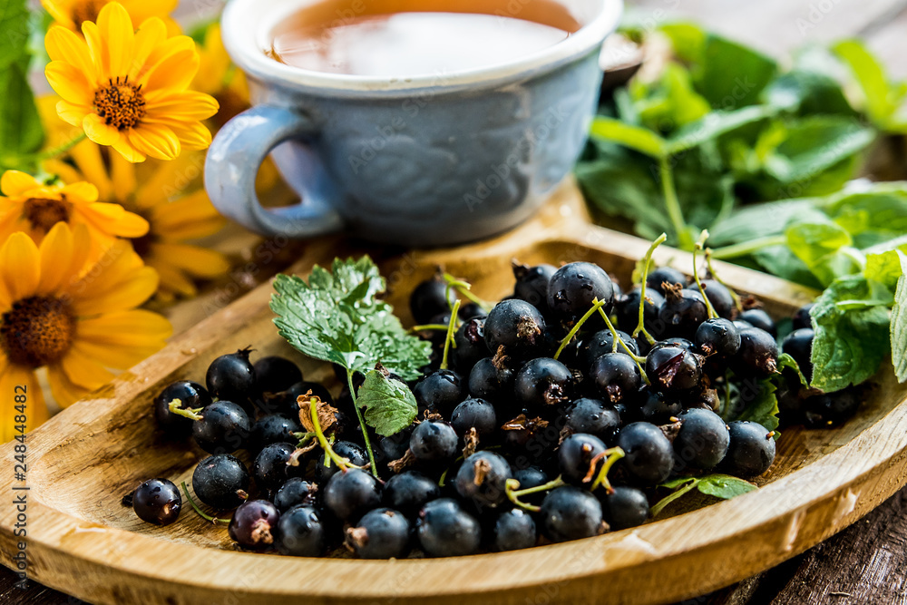 cup tea herb echinacea mint chamomile berry plant blueberry flavor aroma jam apricot sweetness dessert tea drinking traditional useful menu menus wooden ingredients cup tea herb echinacea mint chamomile berry plant blueberry flavor aroma jam apricot sweetness dessert tea drinking traditional useful menu menus wooden ingredients