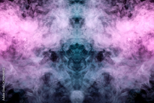 A multi-colored pattern of purple and blue smoke of a mystical shape in the form of a ghost's head or a strange creature on a black isolated background. Abstract pattern in of waves and steam. © Aleksandr Kondratov