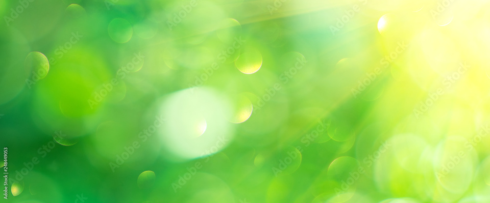 Obraz premium Beautiful nature abstract blurred background. Green bokeh backdrop. Summer or spring background with sun flares, wide screen