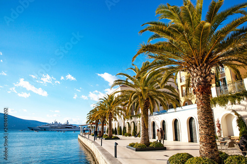 Mediterranean town with palm trees and yachts photo
