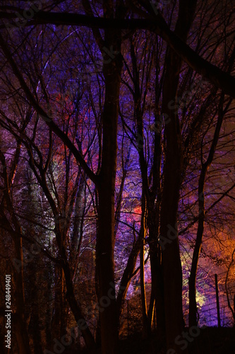 LED in der Natur, bunter Baum,