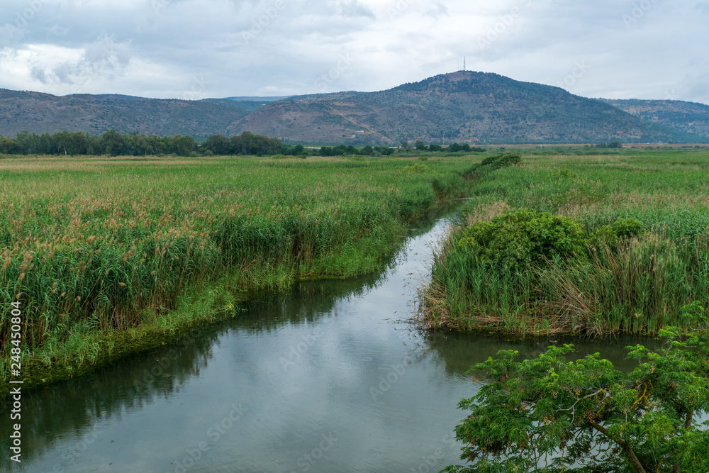 Wetland in the Hula Nature Reserve