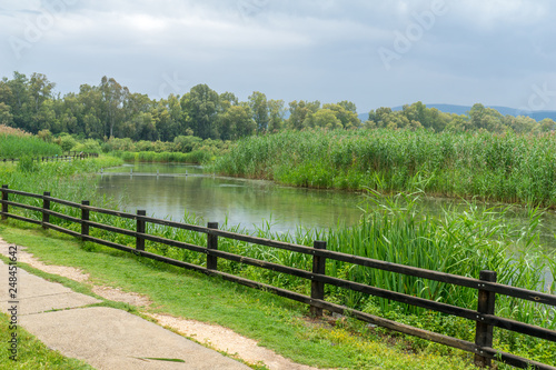 Wetland in the Hula Nature Reserve