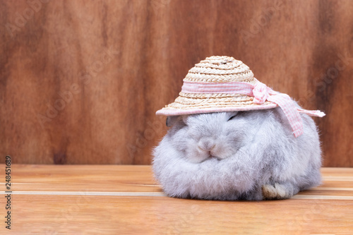 Little rabbit wear water hyacinth hat sleep on wooden background at studio. It's small mammals in the family Leporidae of the order Lagomorpha. Animal studio portrait.
