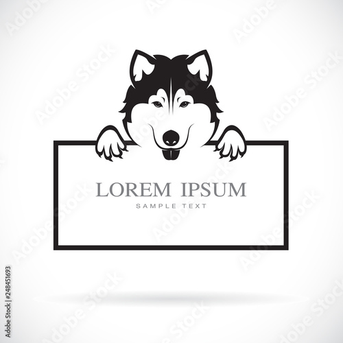 Vector of black dog head(Siberian husky) with frame space for your text. Pet. Animals. Easy editable layered vector illustration.