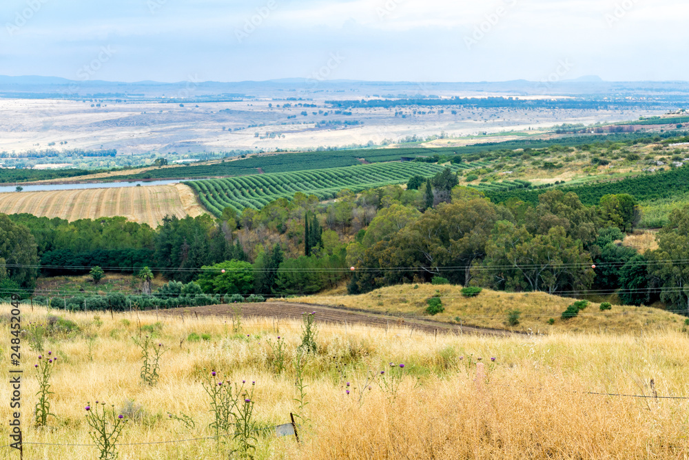Landscape of countryside in the Hula Valley