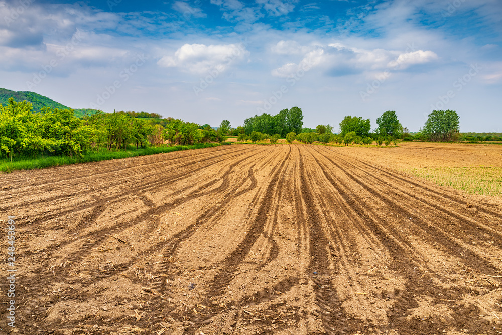 Agricultural land ready for farming and cultivating crops at the beginning of spring, food production and growth of plants in the countryside Agricultural land ready for farming and cultivating crops at the beginning of spring, food production and growth of plants in the countryside