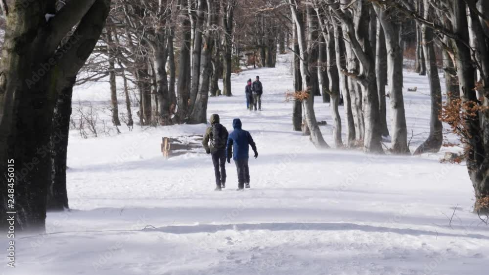 Tourists people hikingthe trail path in nature forest winter snow weather in Poland mountains Tourists people hikingthe trail path in nature forest winter snow weather in Poland mountains