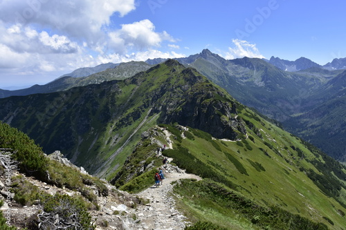 Fototapeta Naklejka Na Ścianę i Meble -  Tatrzański Park Narodowy, Lato w Tatrach, Tatry Zachodnie