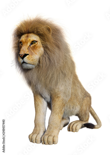 Fototapeta Naklejka Na Ścianę i Meble -  3D Rendering Male Lion on White