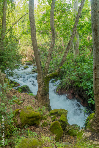 The Hermon Stream  Banias  Nature Reserve