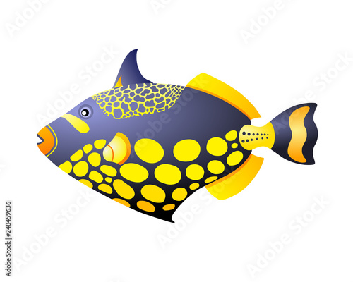 triggerfish