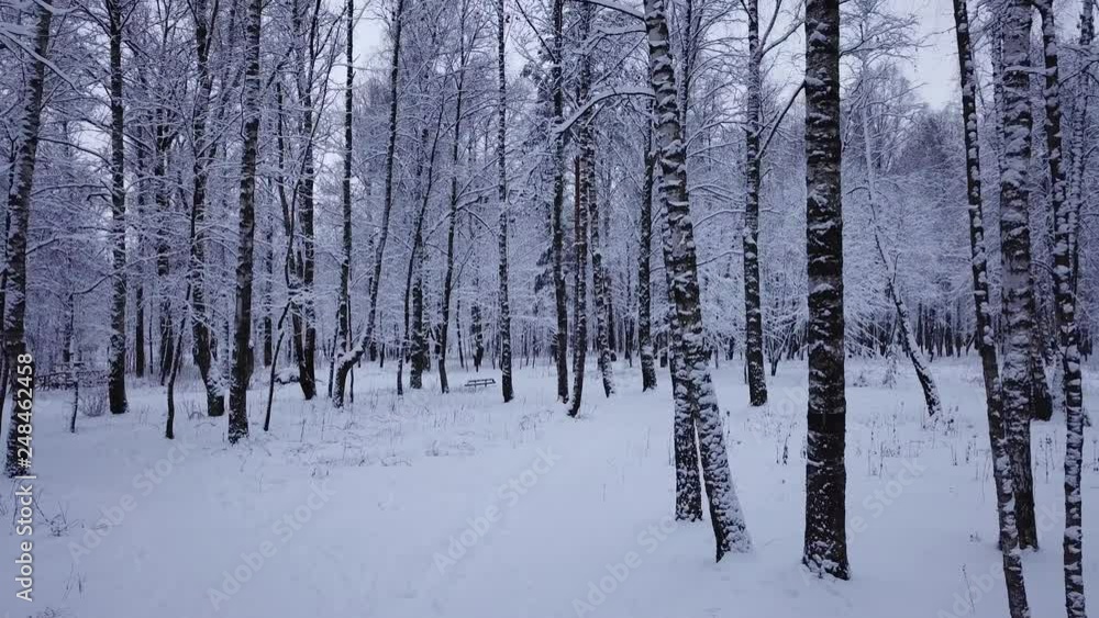 Winter landscape in the park Winter landscape in the park