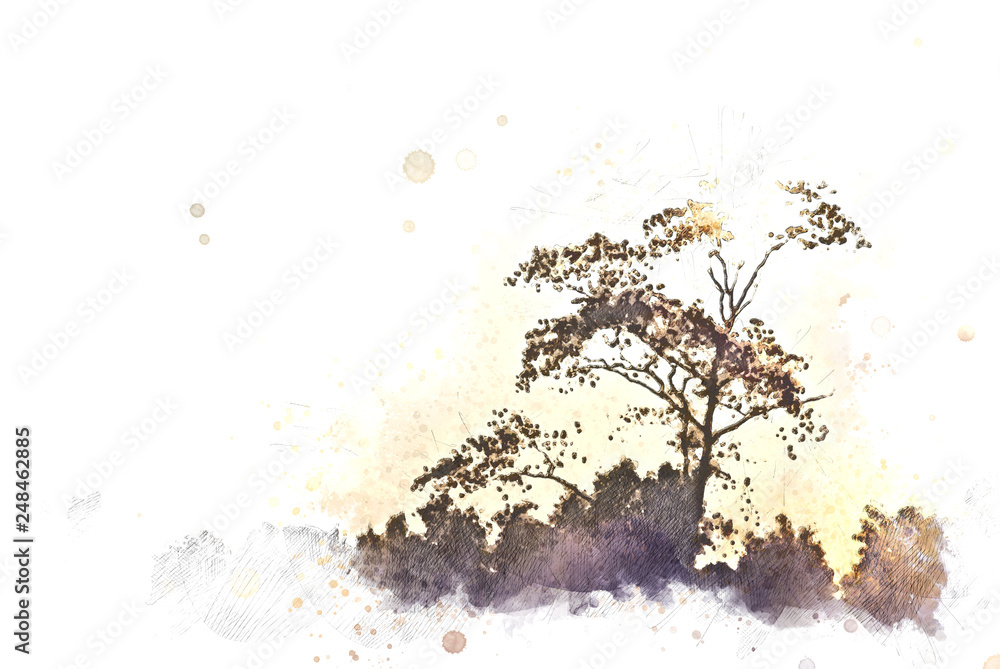 Abstract sunrise and tree landscape on watercolor illustration painting background.