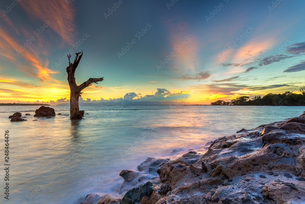 Twilight timber beach Northern Light Twilight Twilight timber beach Northern Light Twilight