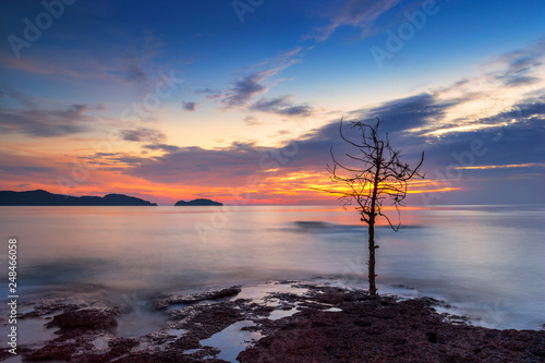 Twilight timber beach Northern Light Twilight