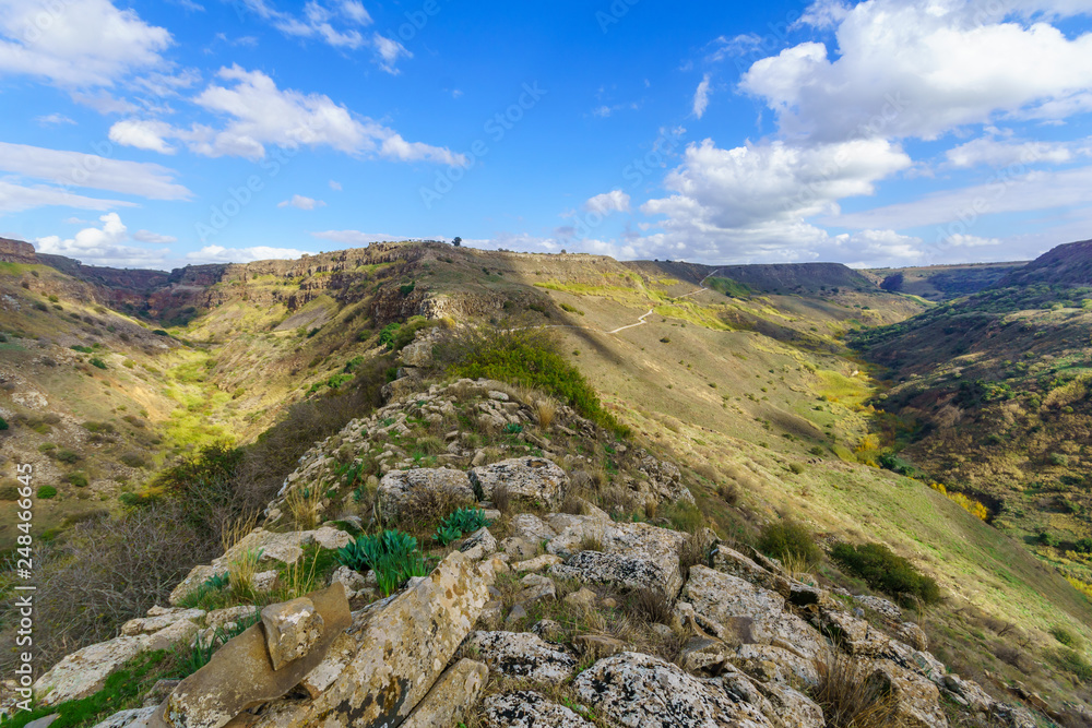 Landscape near Gamla