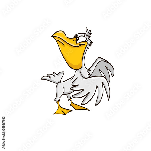 funny cartoon pelican bird with big beak