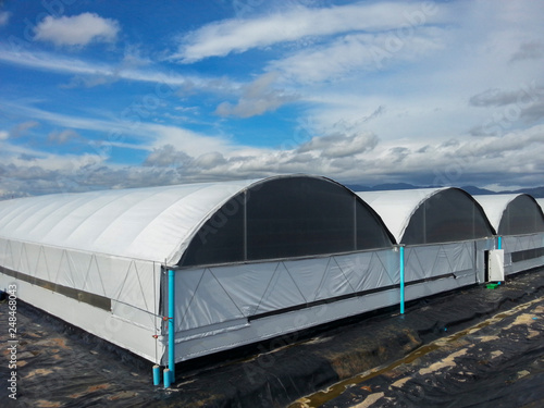 Shrimp Hatchery