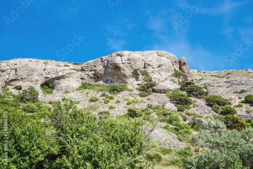 Scenic view of rocky mountains overgrown green trees at sunny day on background beautiful blue sky.